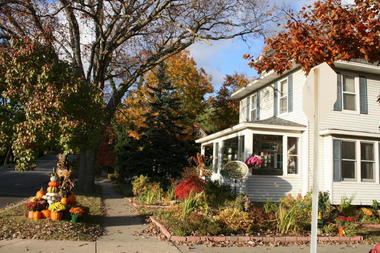 Serendipity Bed And Breakfast Saugatuck Ngoại thất bức ảnh